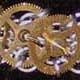 Cogs